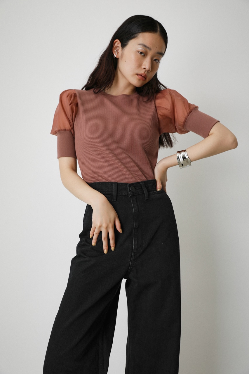 AZUL BY MOUSSY | SHEER SLEEVE PUFF TOPS (Tシャツ・カットソー(半袖