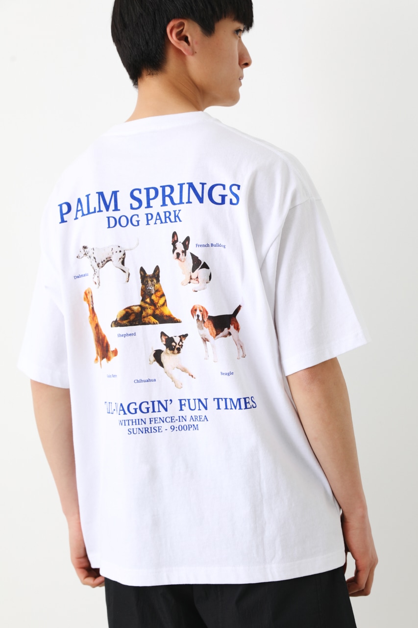 RODEO CROWNS WIDE BOWL | DOG PARK Tシャツ (Tシャツ・カットソー